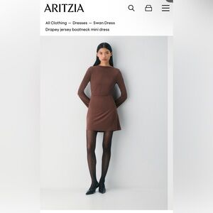 NWT Aritzia Brown Long Sleeve Dress